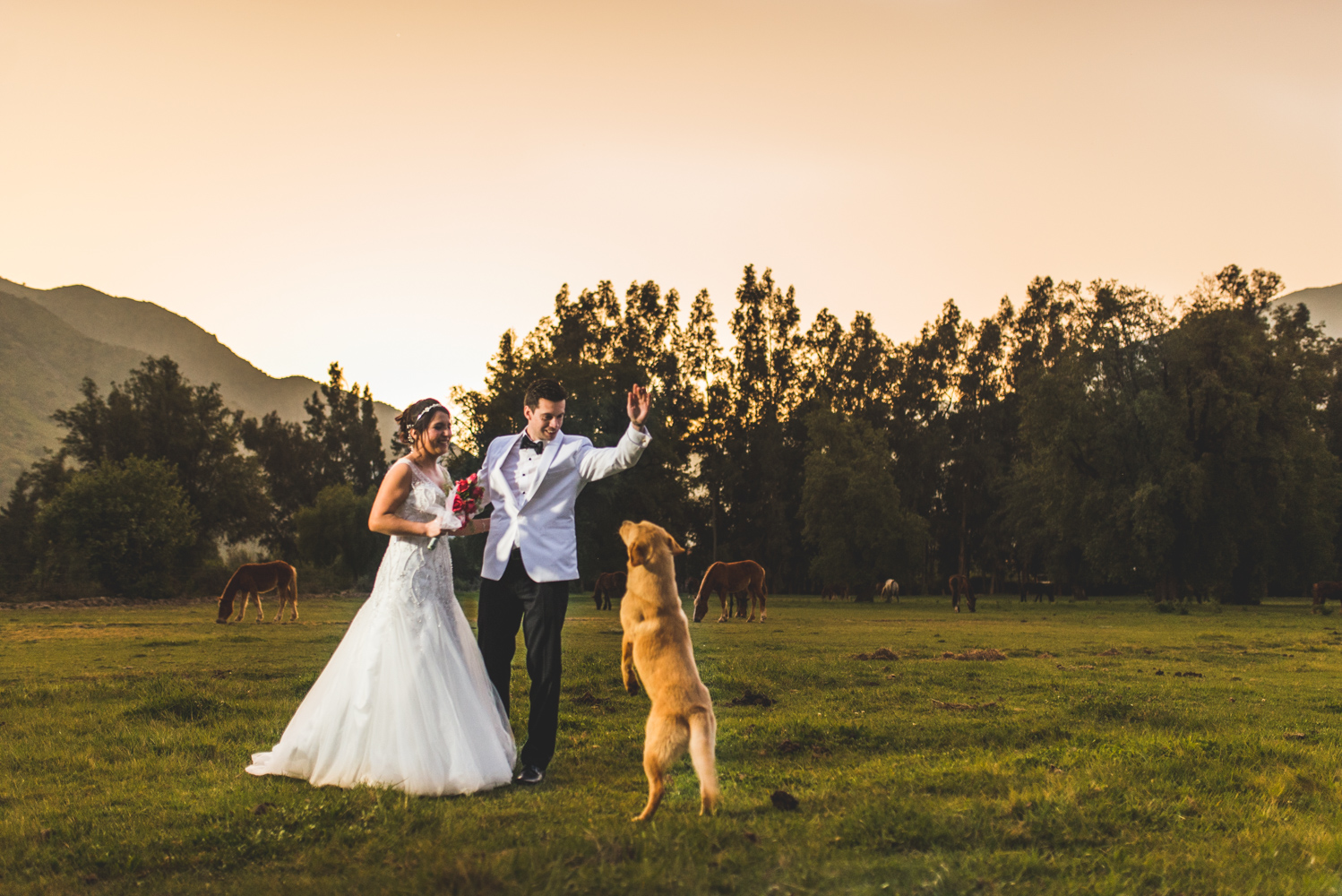 Matrimonio-ko eventos-fotógrafo profesional-diego mena