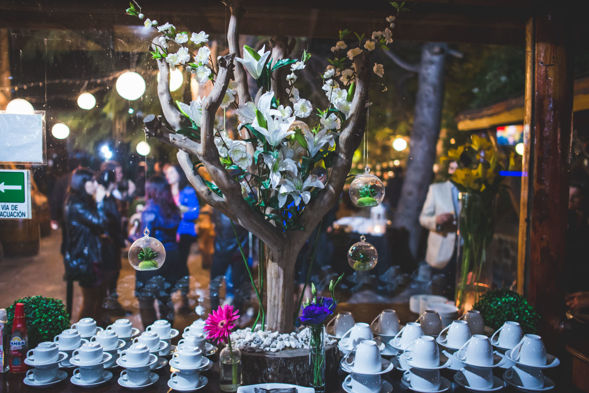 matrimonio igualitario-union civil-ko eventos-fotografo de matrimonios- matrimonio cajon del maipo