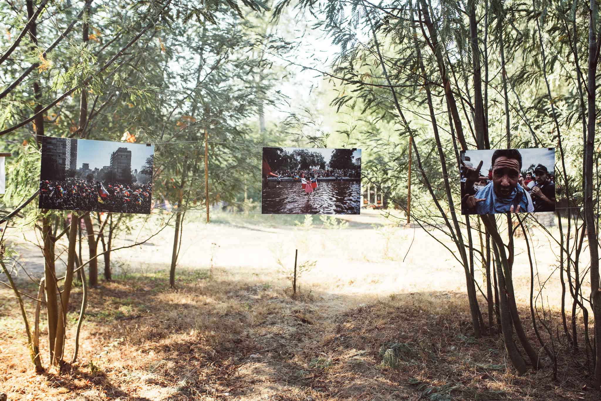 festival woodstaco-parral-diego mena fotografia