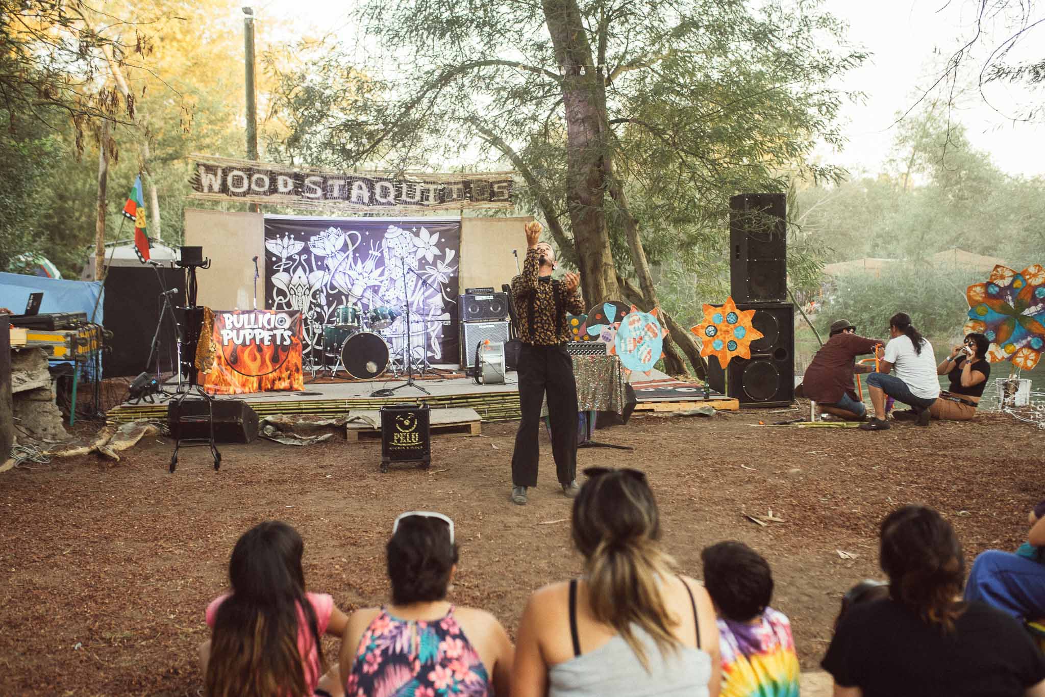 festival woodstaco-parral-diego mena fotografia