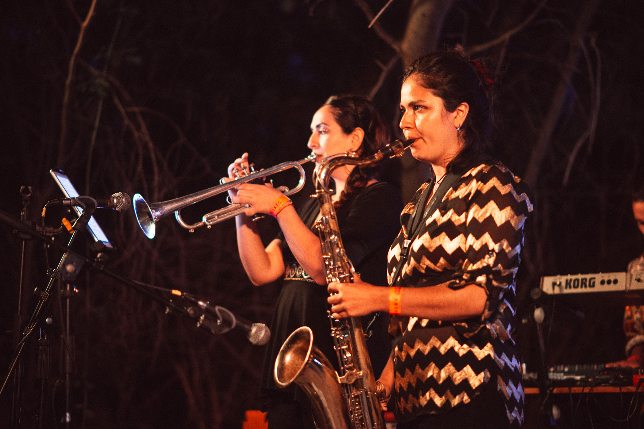 festival woodstaco-parral-diego mena fotografia