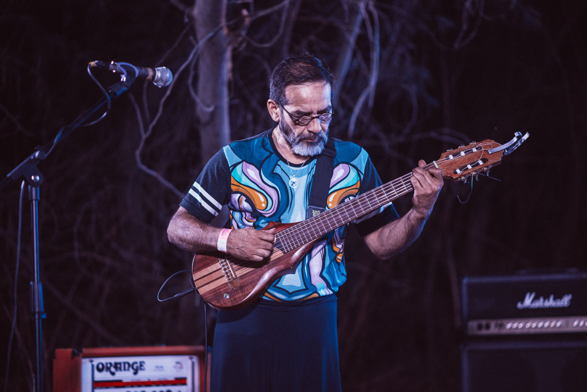 festival woodstaco-parral-diego mena fotografia