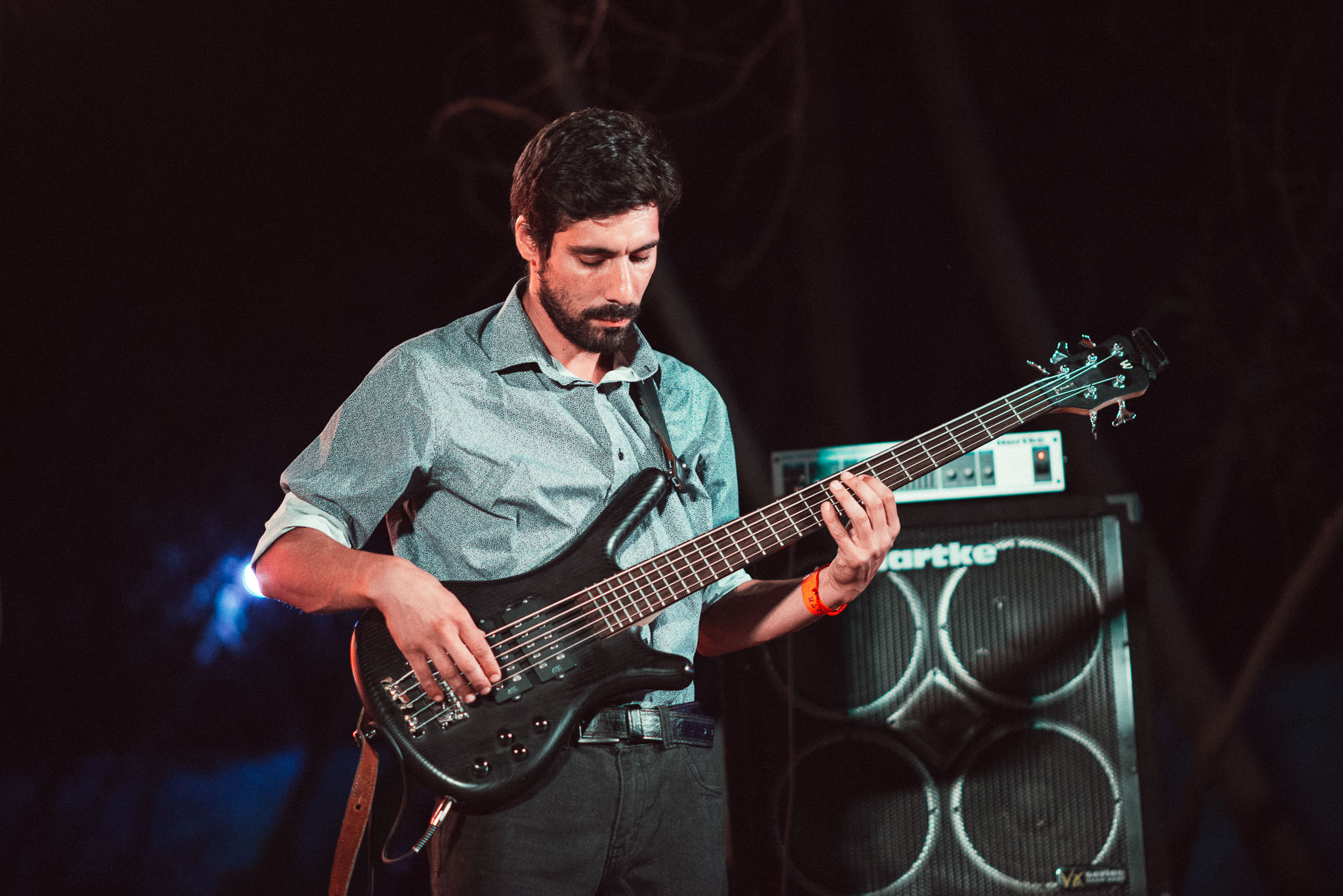 festival woodstaco-parral-diego mena fotografia