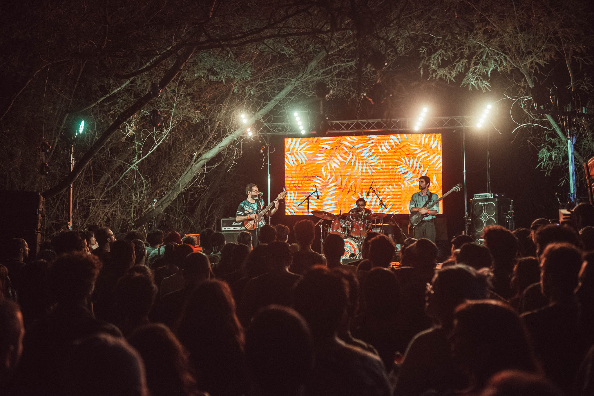 festival woodstaco-parral-diego mena fotografia