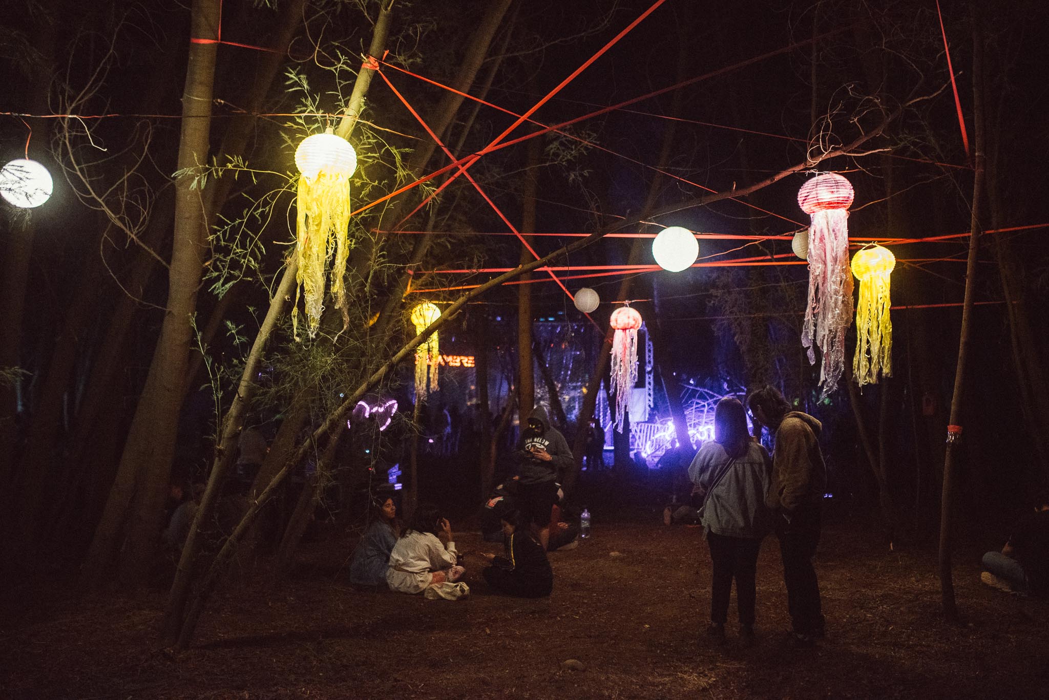 festival woodstaco-parral-diego mena fotografia