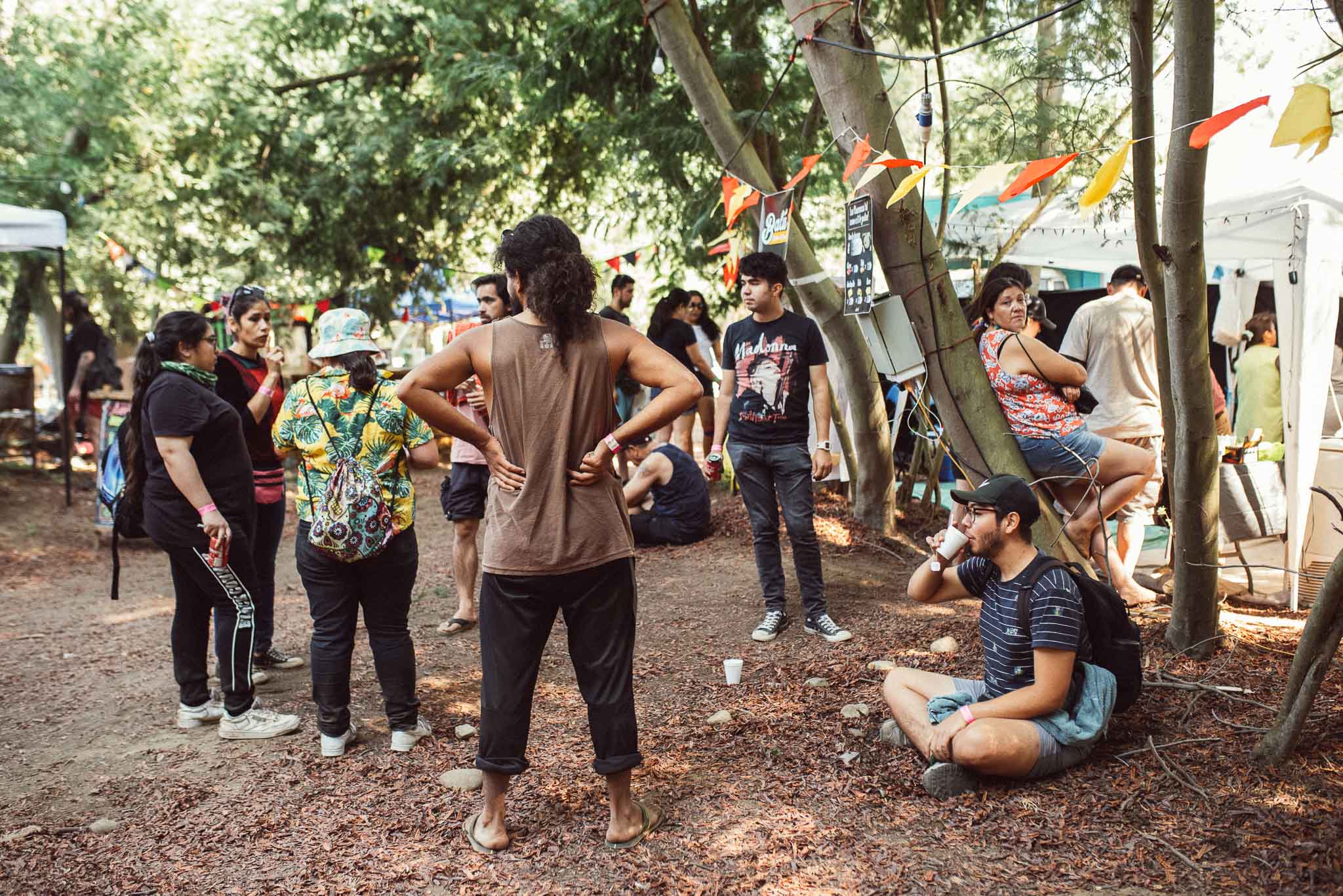 festival woodstaco-parral-diego mena fotografia