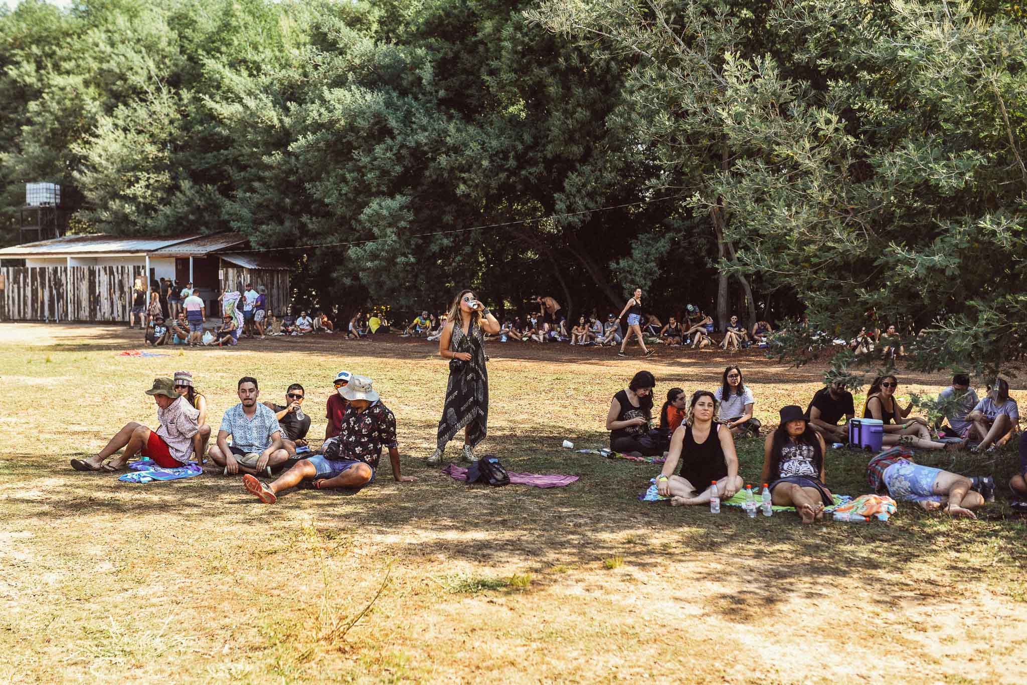 festival woodstaco-parral-diego mena fotografia