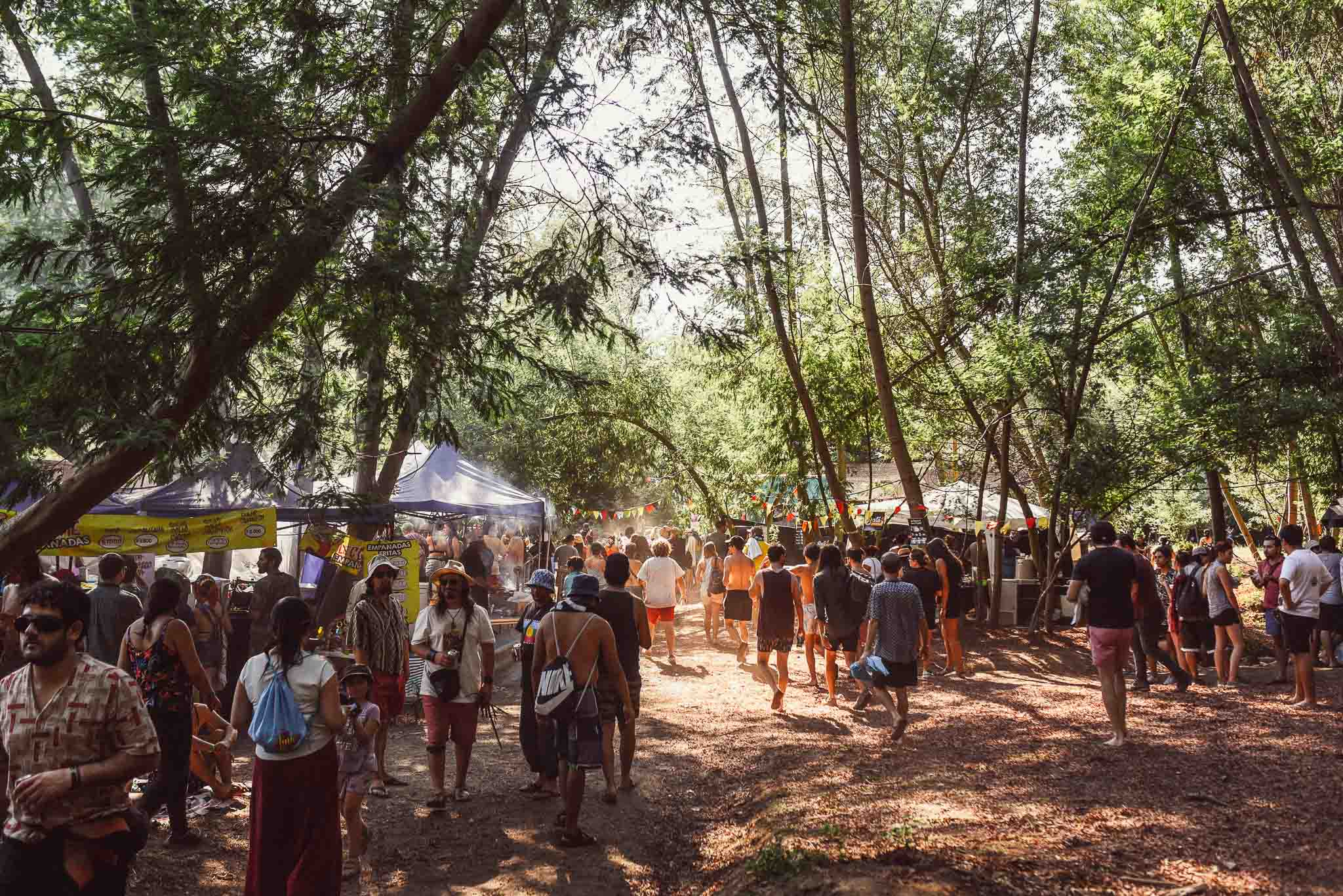 festival woodstaco-parral-diego mena fotografia