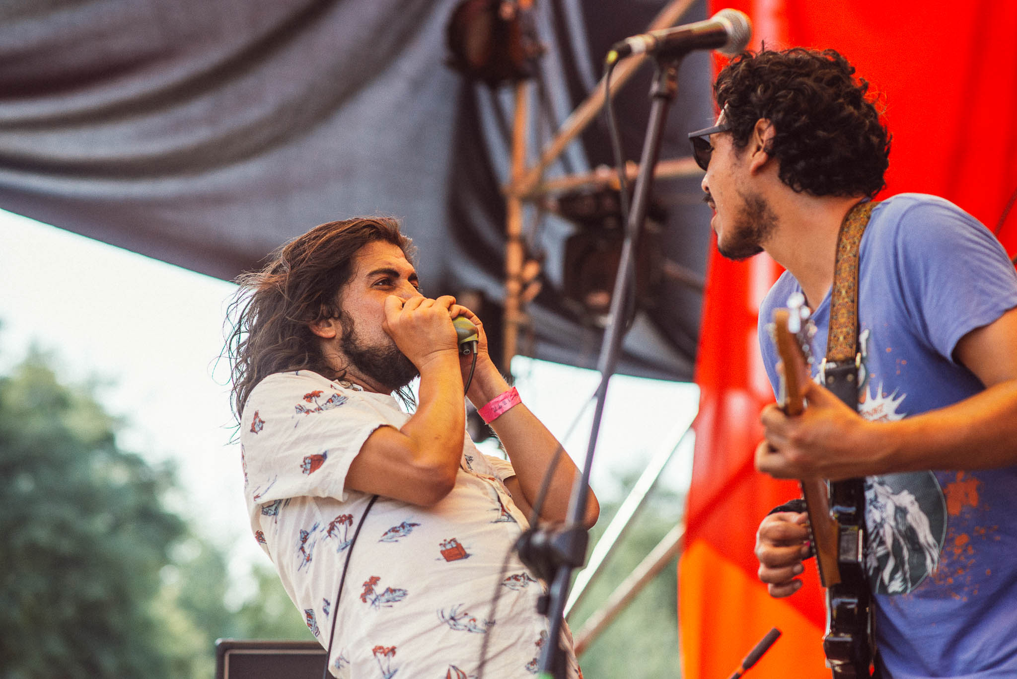 festival woodstaco-parral-diego mena fotografia