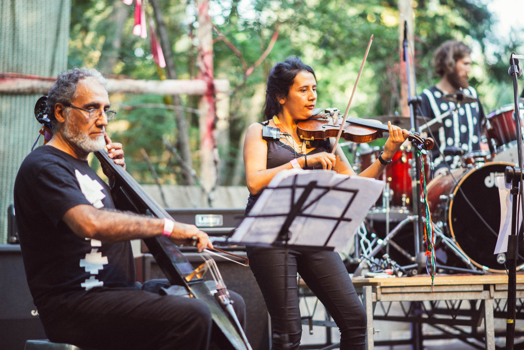 festival woodstaco-parral-diego mena fotografia