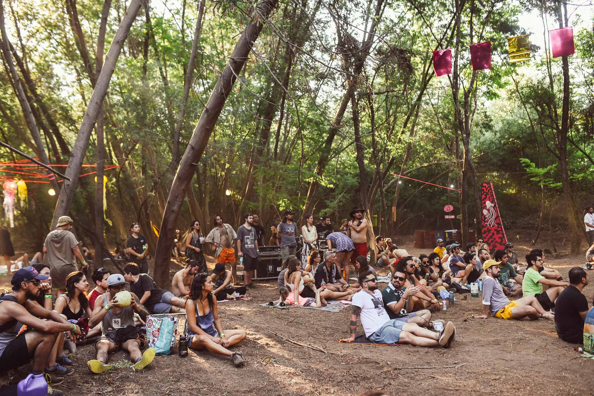 festival woodstaco-parral-diego mena fotografia