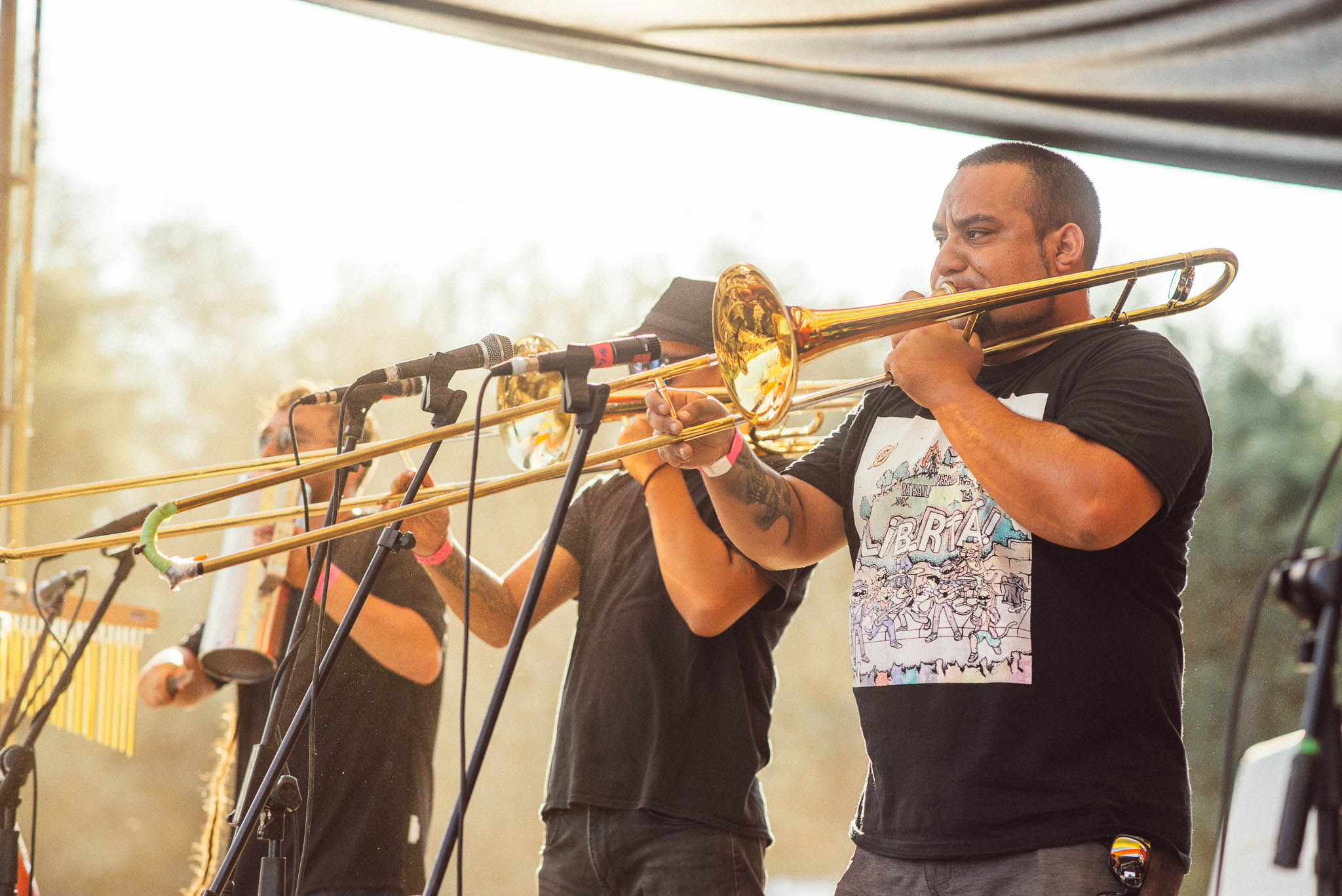 festival woodstaco-parral-diego mena fotografia