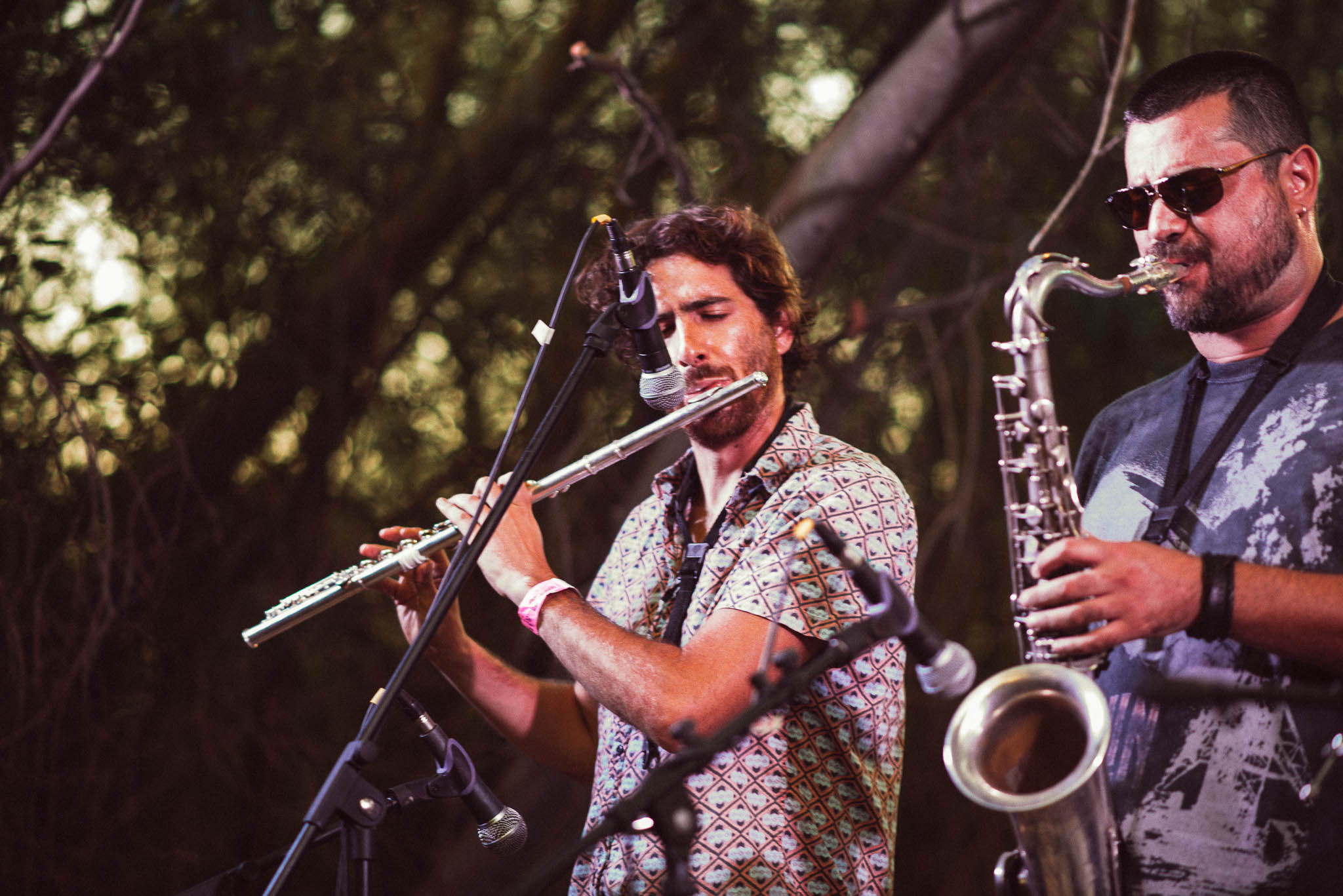 festival woodstaco-parral-media banda