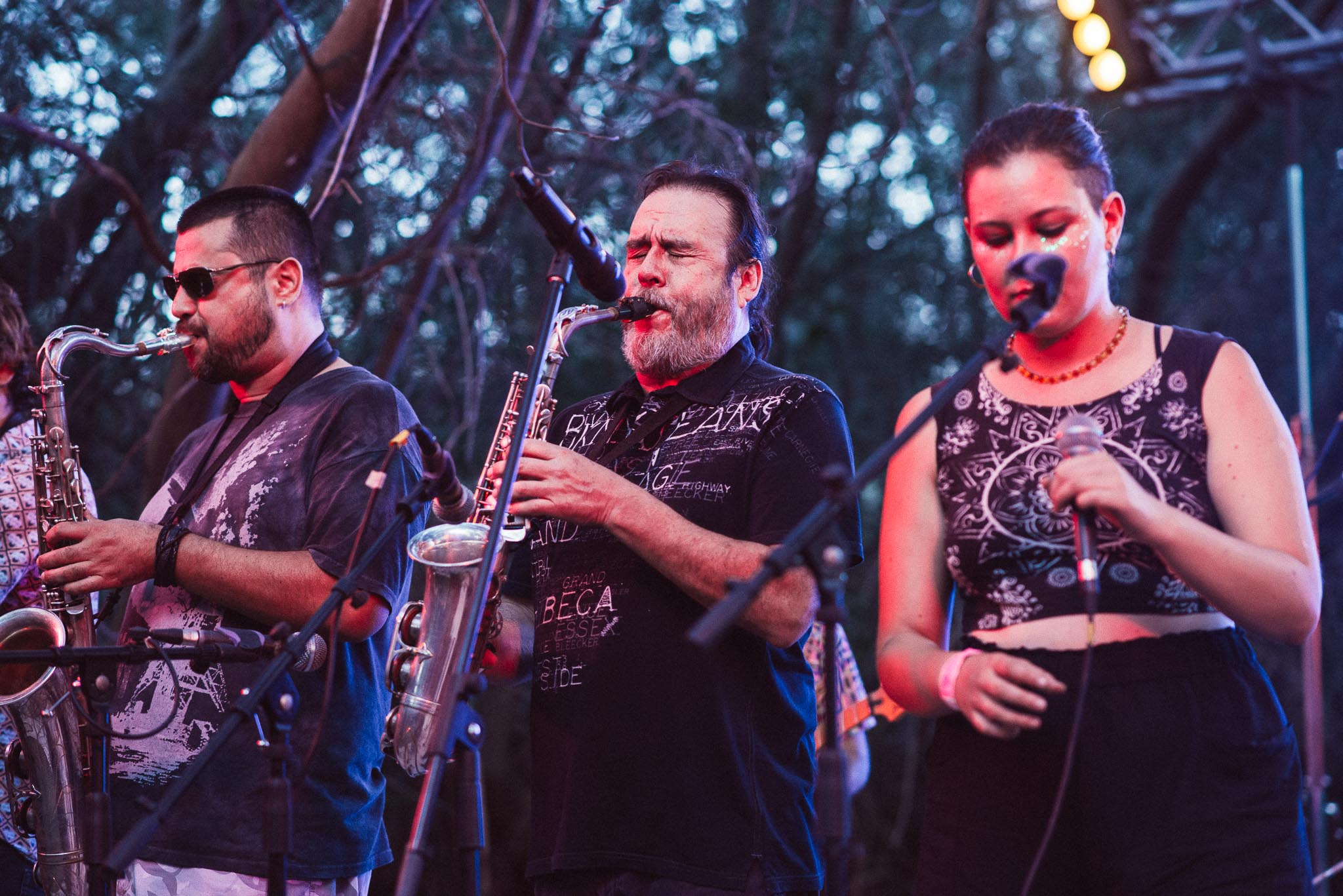 festival woodstaco-parral-media banda