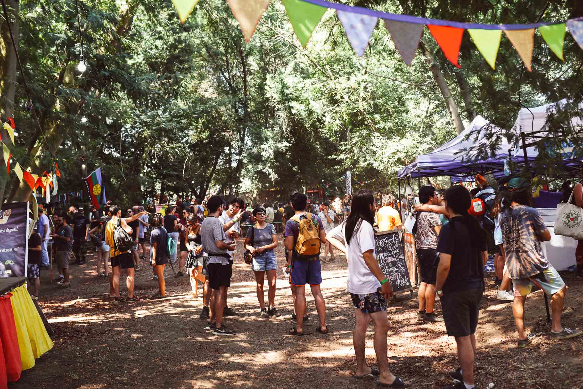 festival woodstaco-parral-diego mena fotografia